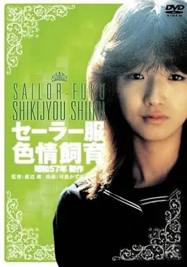 《满江红》海报